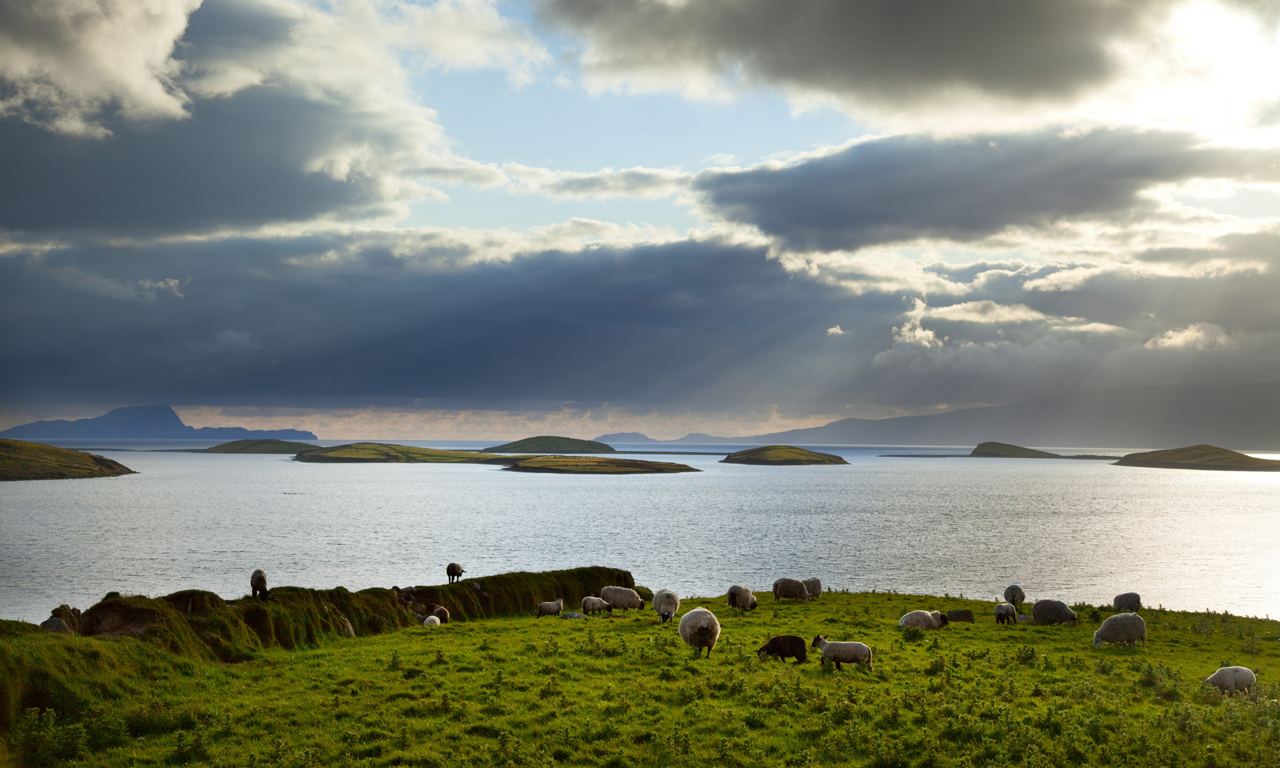 Windguru clew bay kizabc